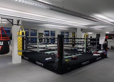 Trainingshalle in Dietikon mit Boxring und Boxsäcken